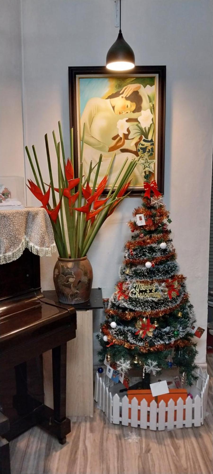 Da Tree Homestay Hanoi Exterior photo